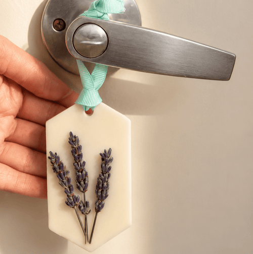Soft Linen Botanical Wax Air Freshener - Zul Luz